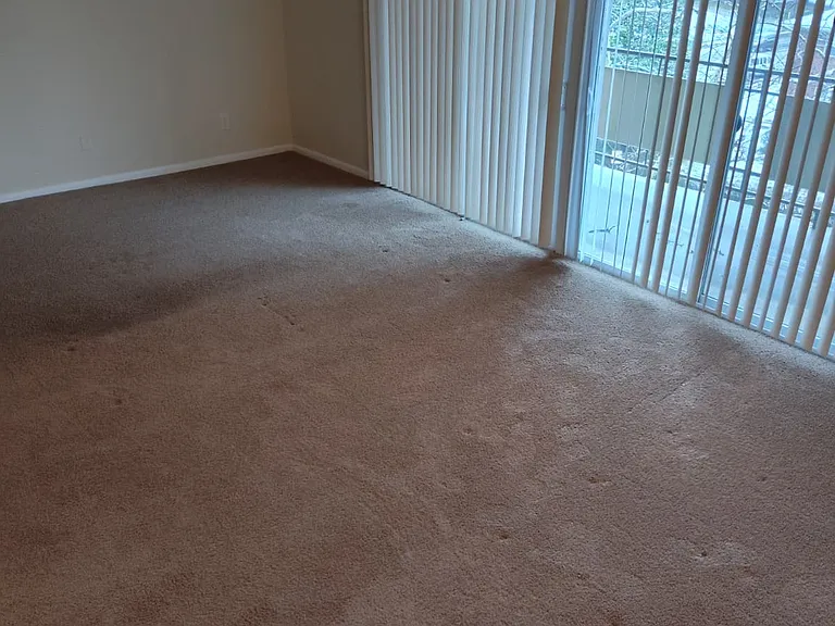 Windsor House Apartments — Photo 25