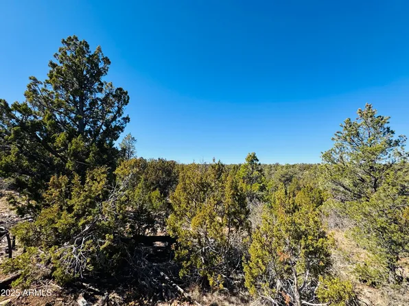 4108 SUNSET RIDGE Loop #135, Happy Jack, AZ 86024