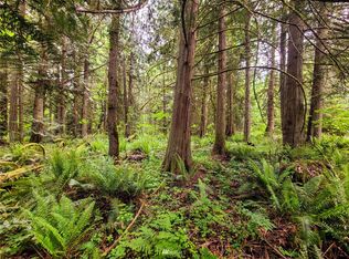 0 Tanwax Rd S, Roy, WA 98580