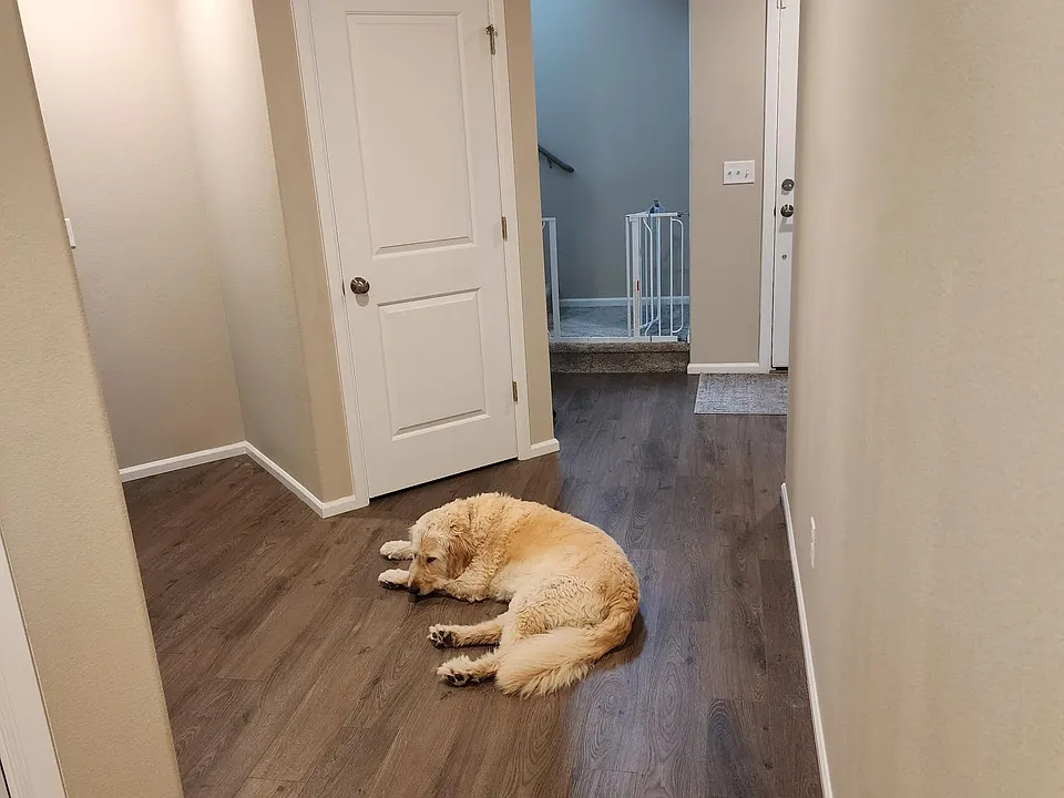 Shared Entry from garage