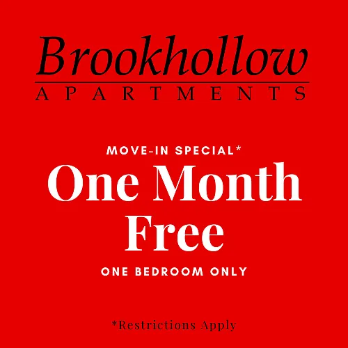 Brookhollow Apartments — Photo 11