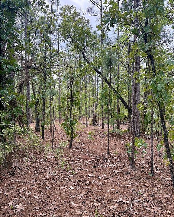 1st image of 0 Long Leaf Rd Lot 6
