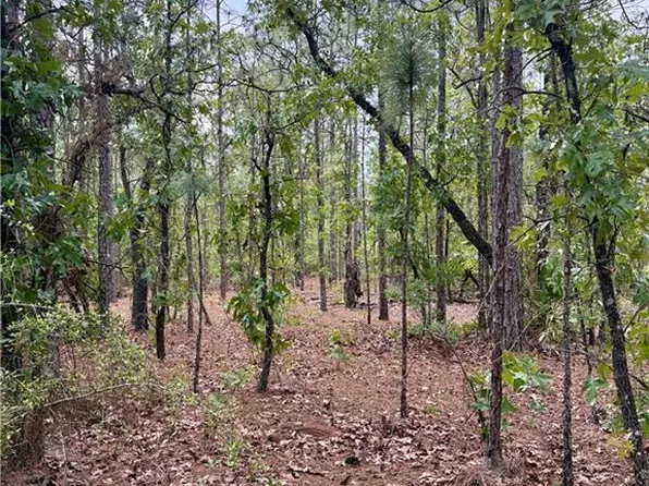 0 Long Leaf Rd Lot 6, Citronelle, AL 36522