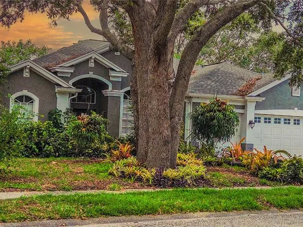 1725 River Watch Blvd, Tarpon Springs, FL 34689