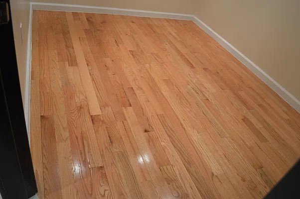 Rented by CoSo Apartments | media 37