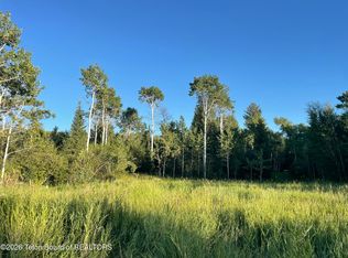 390 S State Line Rd, Alta, WY 83414