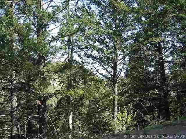 1st image of 540 Matterhorn Dr #M-2-90