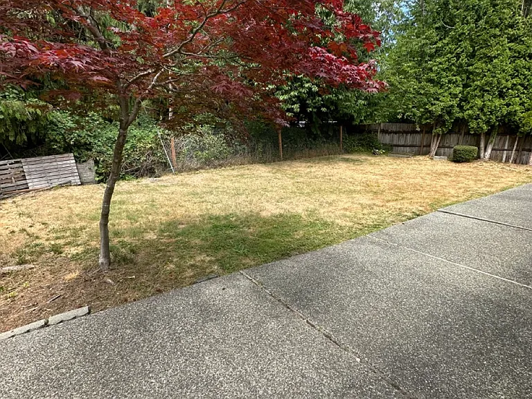 10816 30th Dr SE — Photo 13