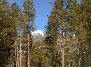 11 Lost River Rd, Mazama, WA 98833