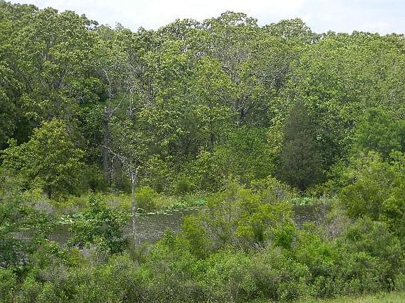 4th image of 6161 Us Highway 175 W
