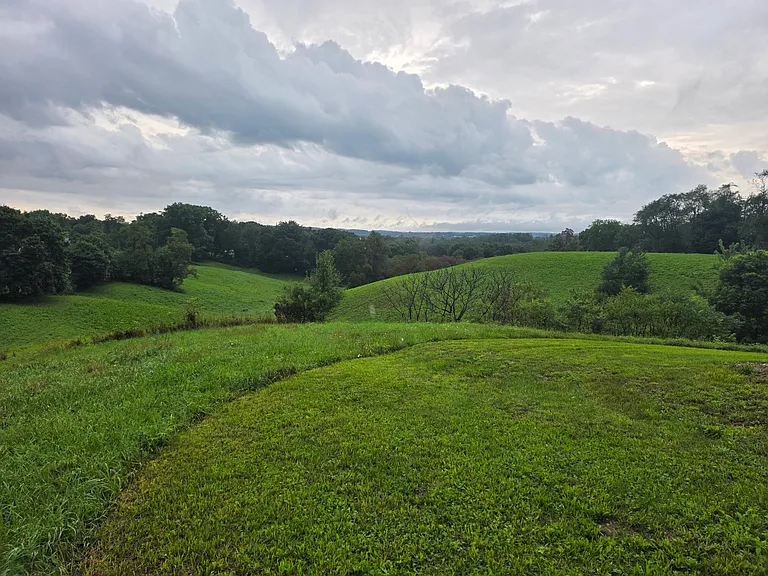 7085 Salineville Rd NE — Photo 5