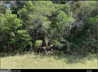 1875 Oochee Creek Rd, Toomsboro, GA 31090