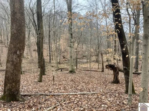 LOT 64 Sassafrass Rd, Cadiz, KY 42211