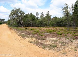 LOTS 19-21 SELMA Avenue, Interlachen, FL 32148