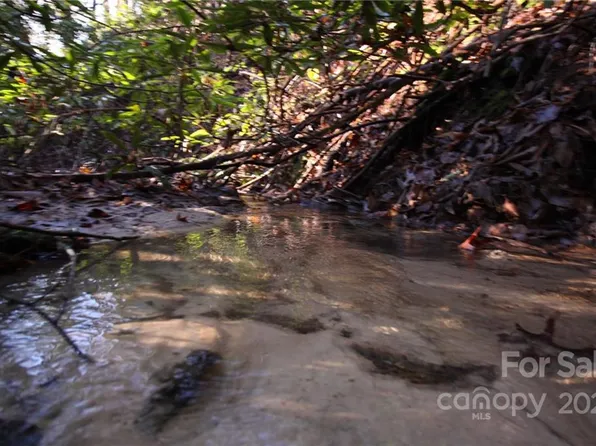 19 Gastons Bee Gum Rd, Brevard, NC 28712