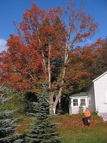 2nd image of 103 Rossman Fly Rd