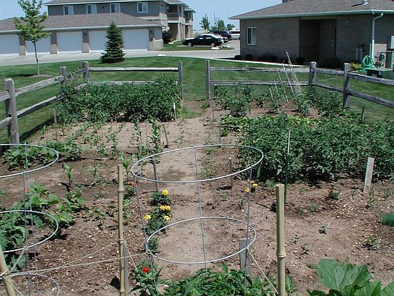 Garden for the community