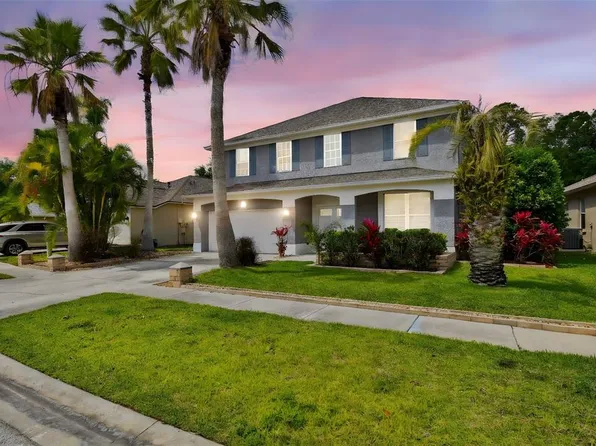 12525 Sparkleberry Rd, Tampa, FL 33626