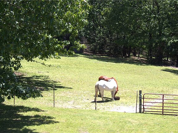 4th image of 257 County Road 332