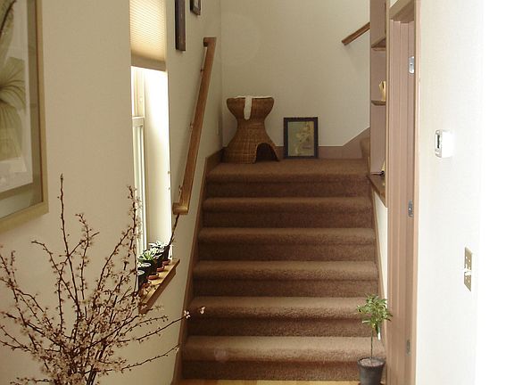 High Ceiling, wide Staircase