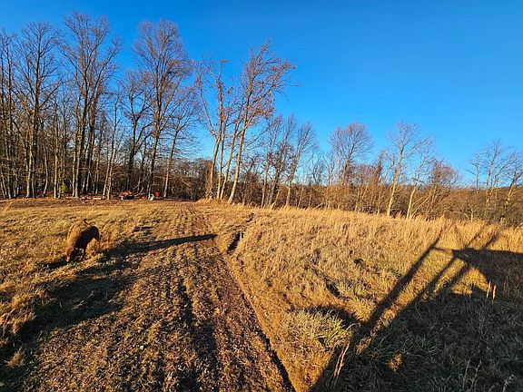 2nd image of 290 Ashton Woods Dr