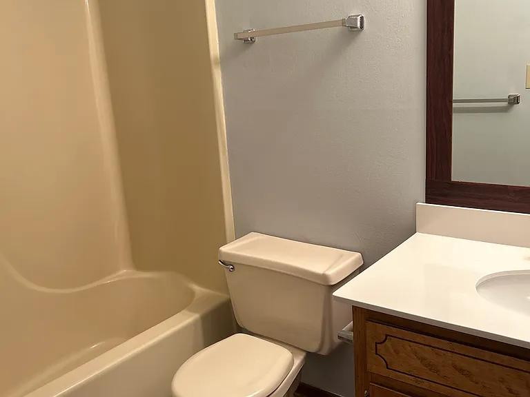 hall bathroom