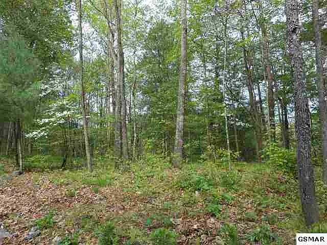 1st image of 0 Trace Way Lot 17R