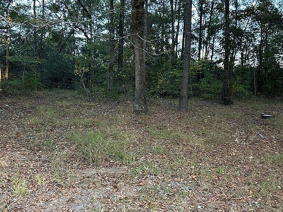 4th image of Nhn Hammock Rd