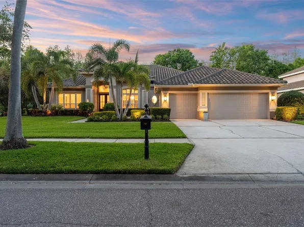 9820 Emerald Links Dr, Tampa, FL 33626