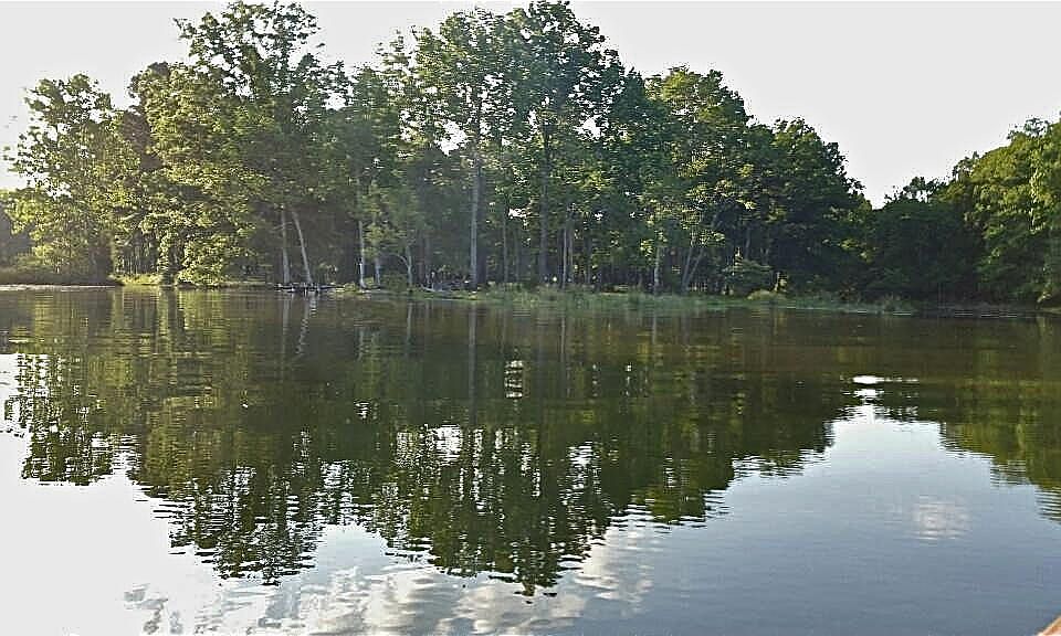 2nd image of 8324 Hixson Pike #2