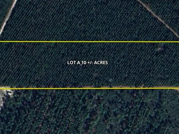 Off Louise Rd, Gainesville, FL 32609