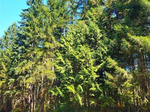 11511 Lake Josephine Boulevard, Anderson Island, WA 98303