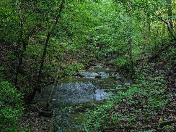 772 Naomi Ct, Ranger, GA 30734