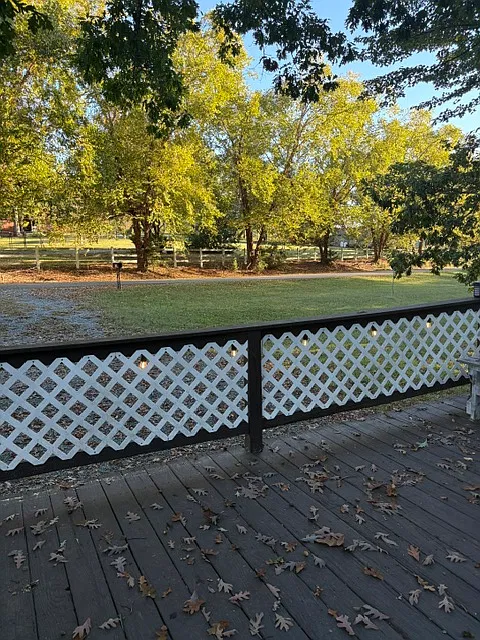 2 bed, 980 sqft, $1,000 — Photo 4