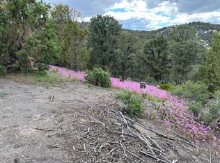 2070 Silverado Rd, Vc Highlands, NV 89521