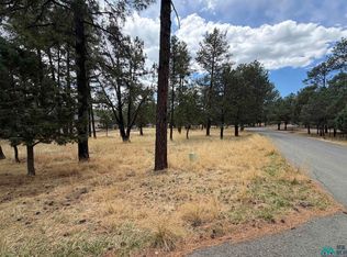 101 Mira Monte Rd, Alto, NM 88312