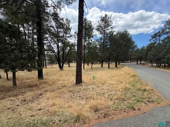 101 Mira Monte Rd, Alto, NM 88312