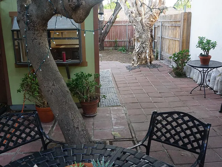 Backyard, Table, Chairs, Bacon Avocado Tree
