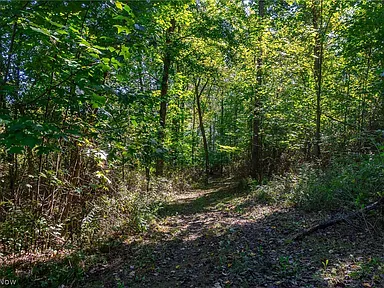 Property photo 25