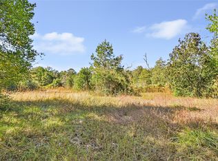 1224 Plum Pudding Rd, Livingston, TX 77351