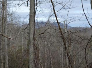 158 Piney Grove Rd, Hampton, TN 37658