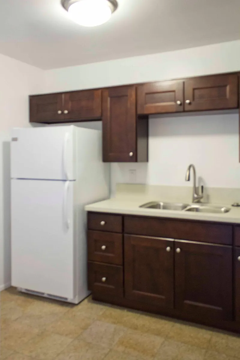 remodeled kitchen, with new quartz countertops, cabinets, st - 1033 Cordova St #10