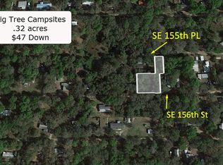 20197 SE 156th St, Umatilla, FL 32784