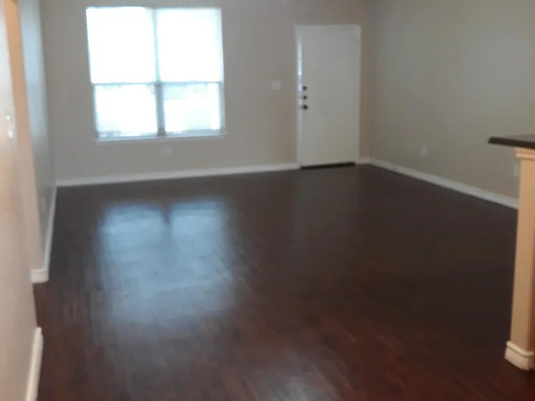 6608 Mammoth Springs Dr — Photo 3