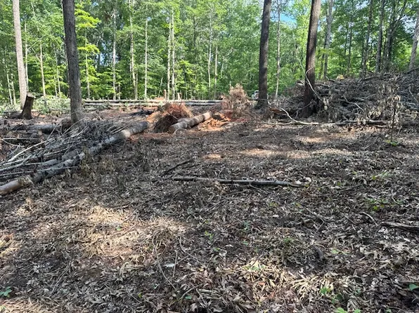 LOT 1 Bobcat Pass Us Hwy #29, North Opelika, AL 36804