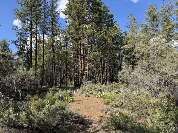 Thunder Bear Rd, Bonanza, OR 97623