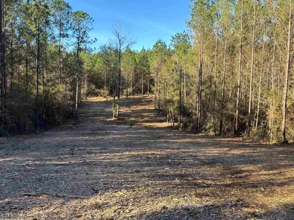 60 Straw Bridge Rd, Jay, FL 32565