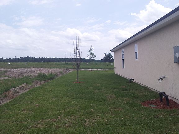 9298 Spider Lily Lane