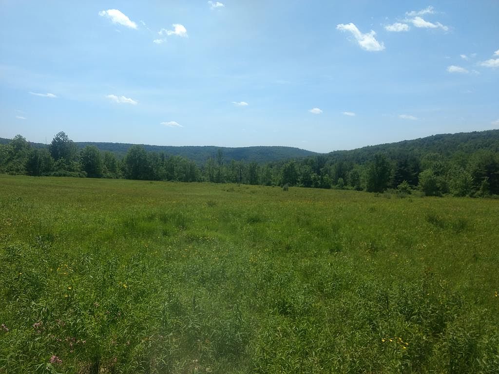 0 Treadwell Rd, Windsor, NY 13865 Zillow