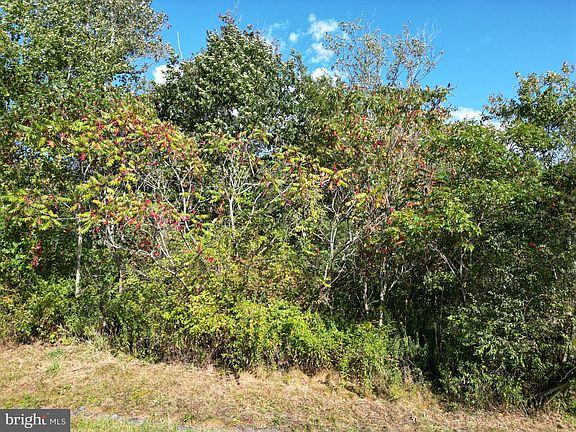 5th image of 35 Cedar Creek Dr